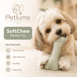 SoftChew Dental Toy
